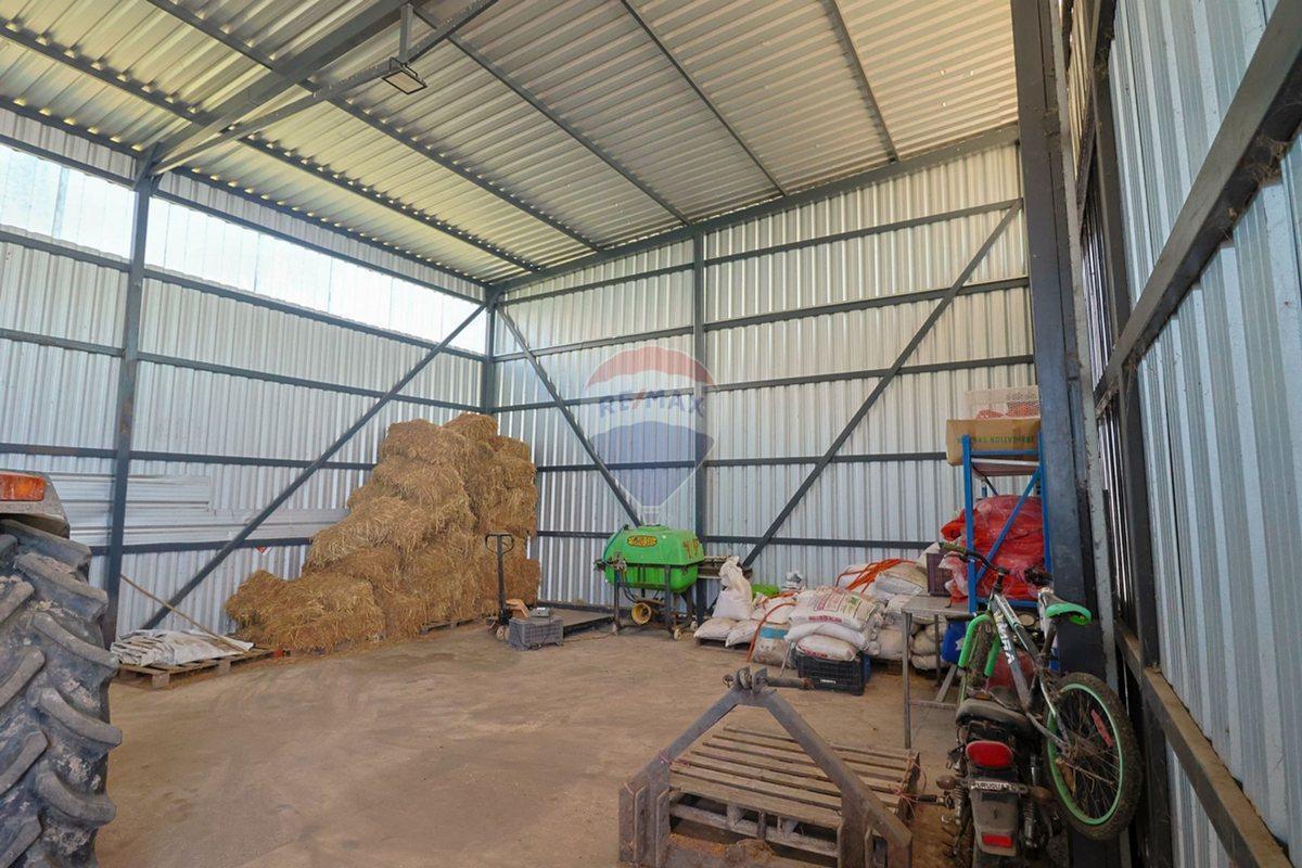 Foto de VENTA DE HECTAREAS, CAMPO EN LAS BRUJAS, CANELONES, imagen 5