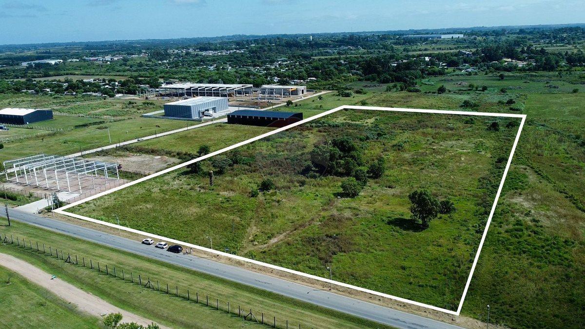 Foto de VENTA LOTE TERRENO 4HA. CAMINO DE LOS AROMOS, imagen 4
