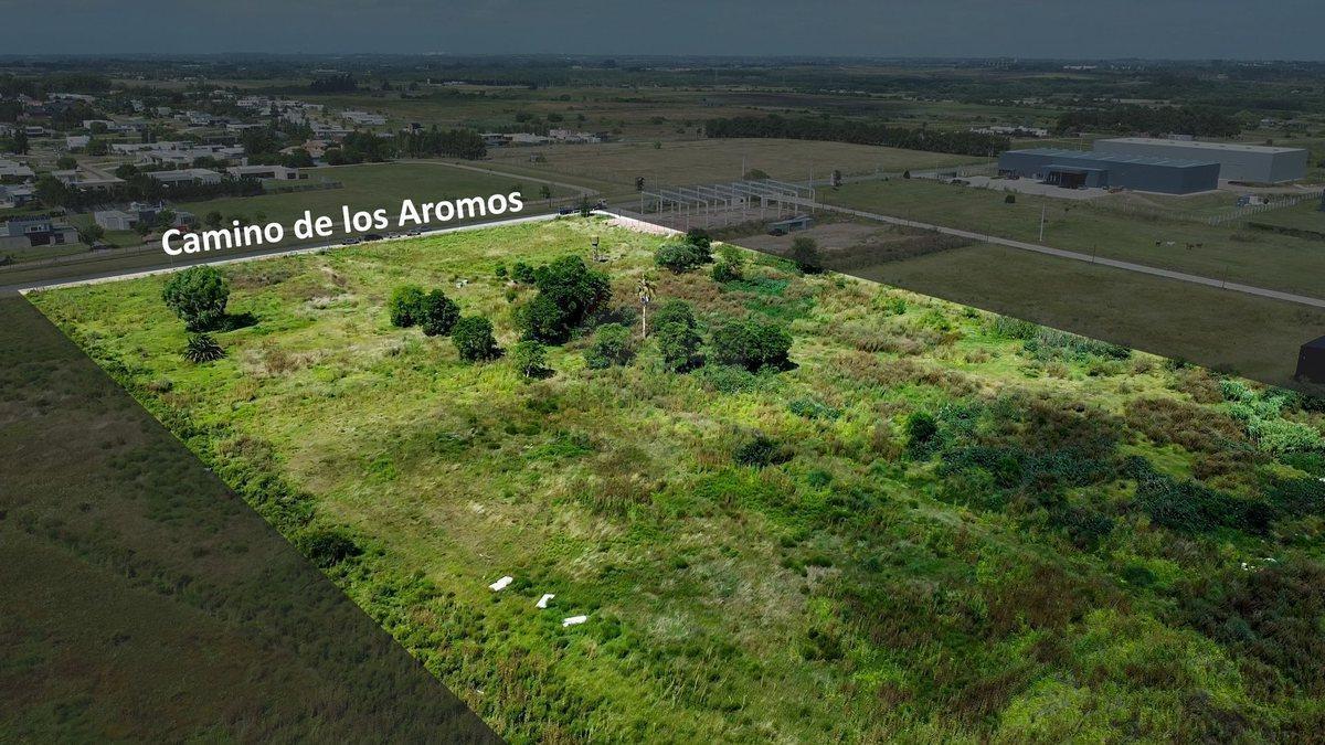 Foto de VENTA LOTE TERRENO 4HA. CAMINO DE LOS AROMOS, imagen 3