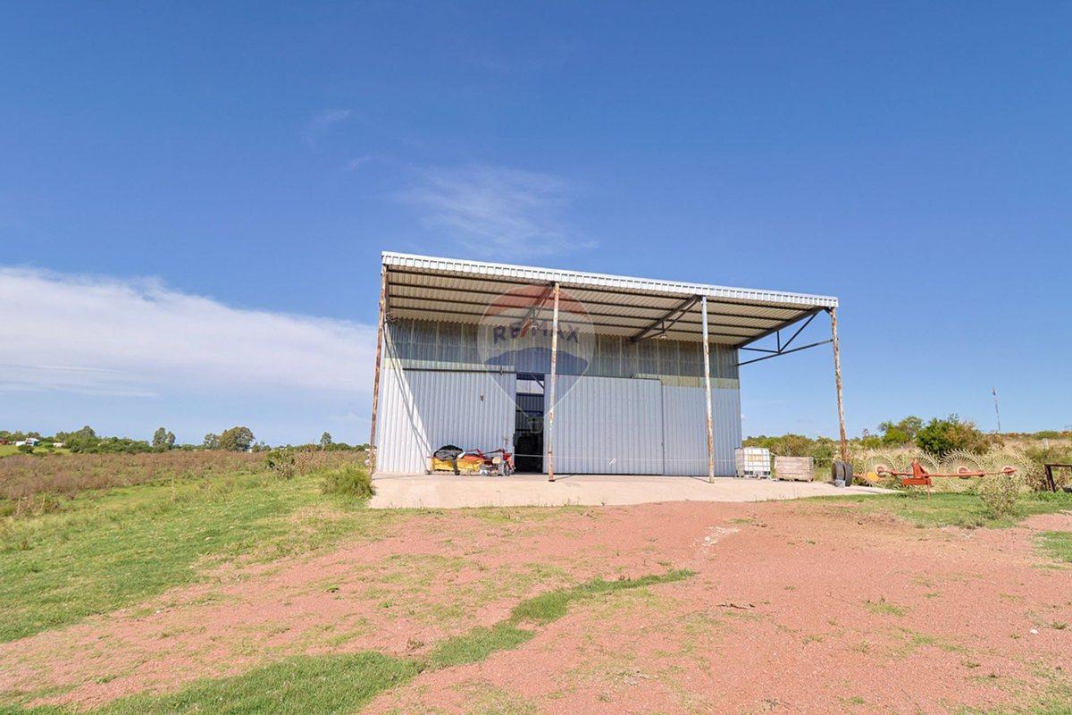 Foto de VENTA DE HECTAREAS, CAMPO EN LAS BRUJAS, CANELONES, imagen 5