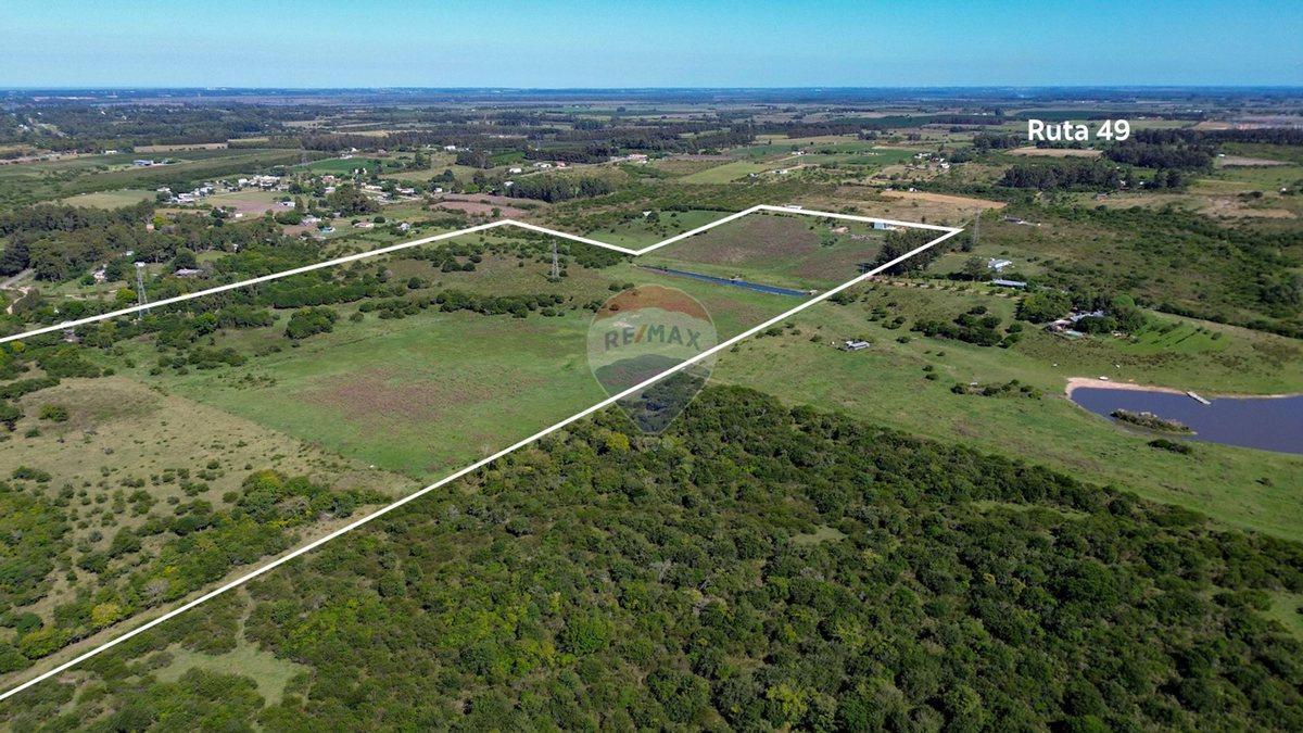 Foto de VENTA DE HECTAREAS, CAMPO EN LAS BRUJAS, CANELONES, imagen 4