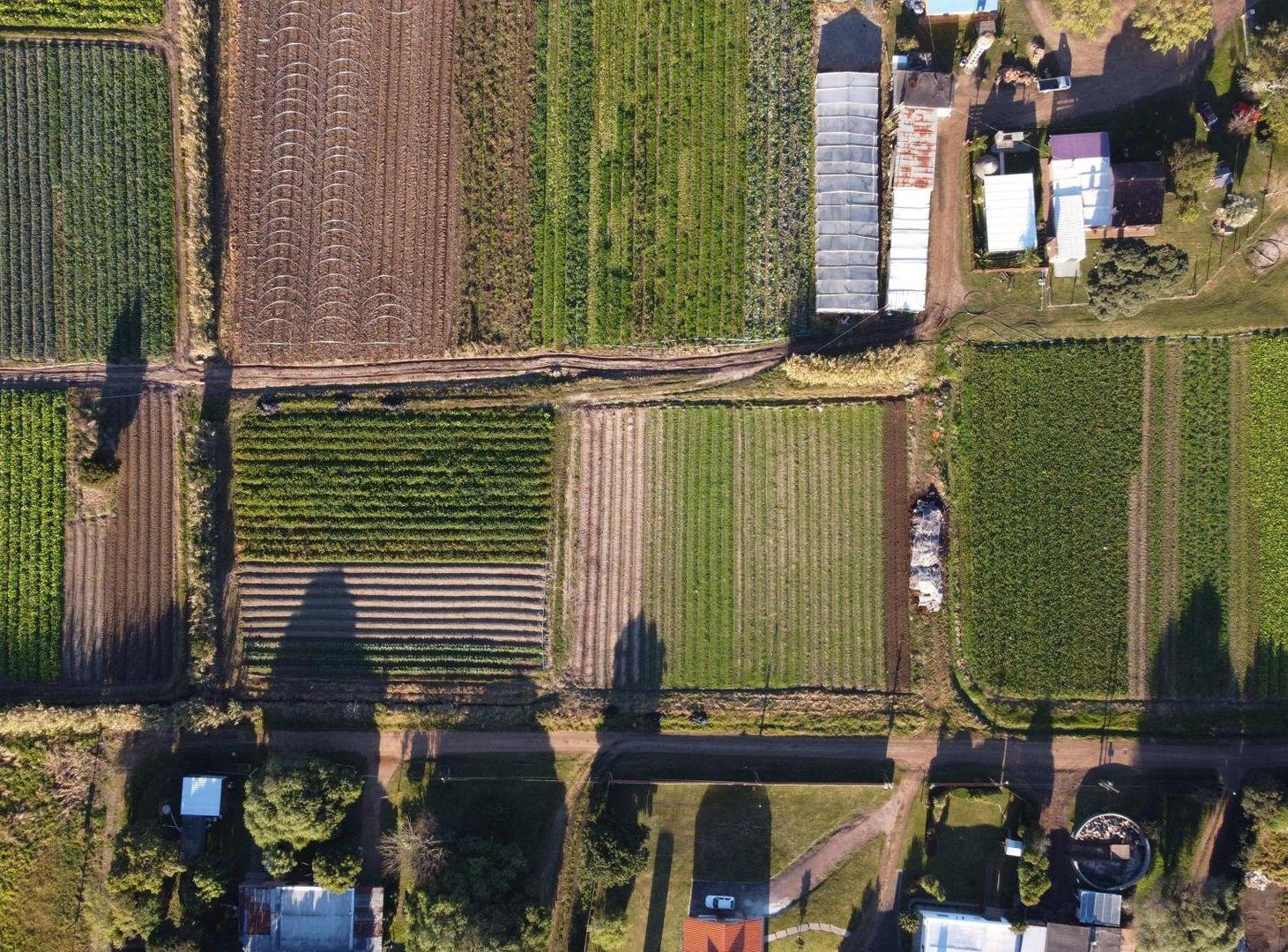 Foto de VENTA TERRENO SAN JOSE DE CARRASCO C. DE LA COSTA, imagen 3