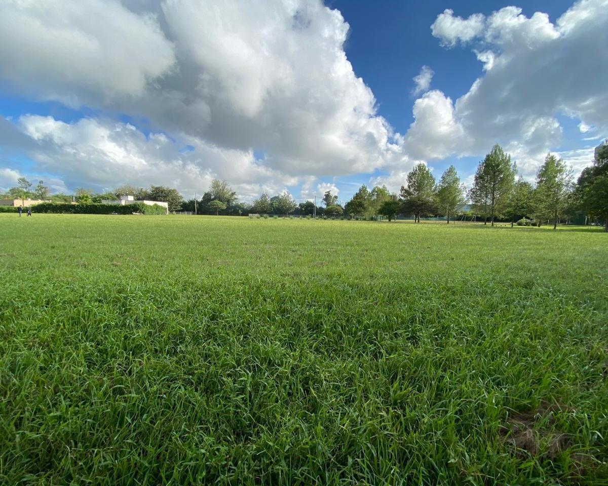 Terrenos en Venta Santa Apolonia - Cerrillos 3