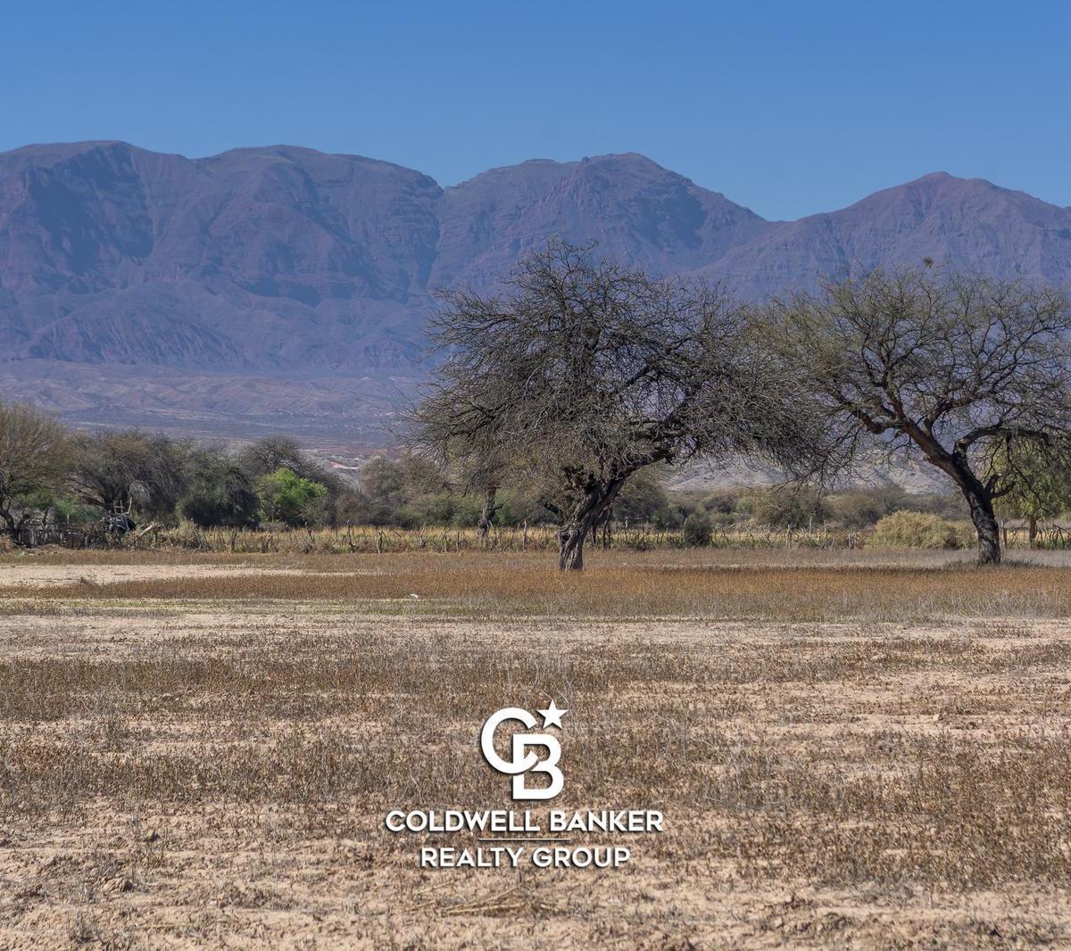 Finca en San Carlos 4