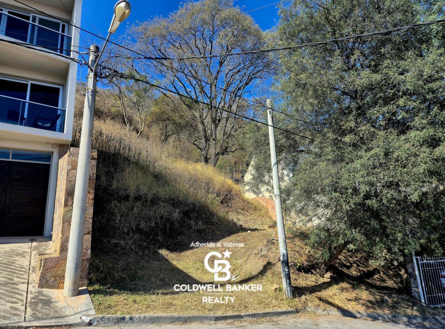 Foto de Terreno en Barrio Tres Cerritos, imagen 2