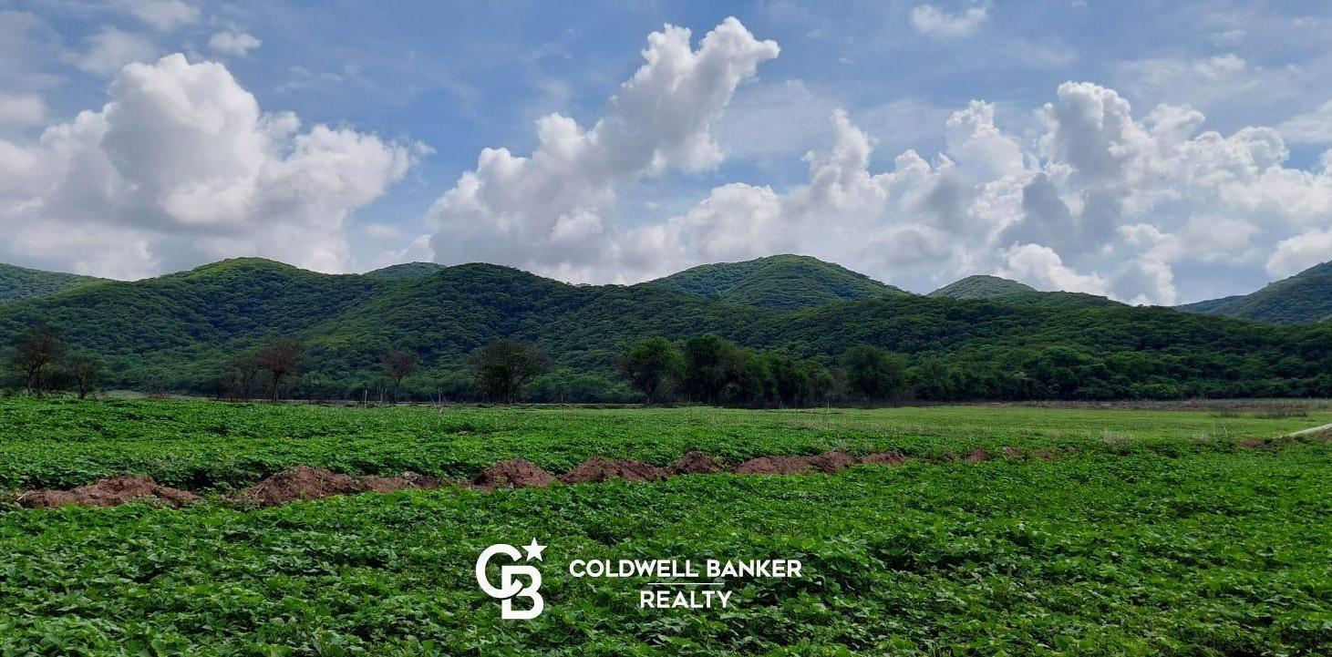 Terreno en jardines del valle