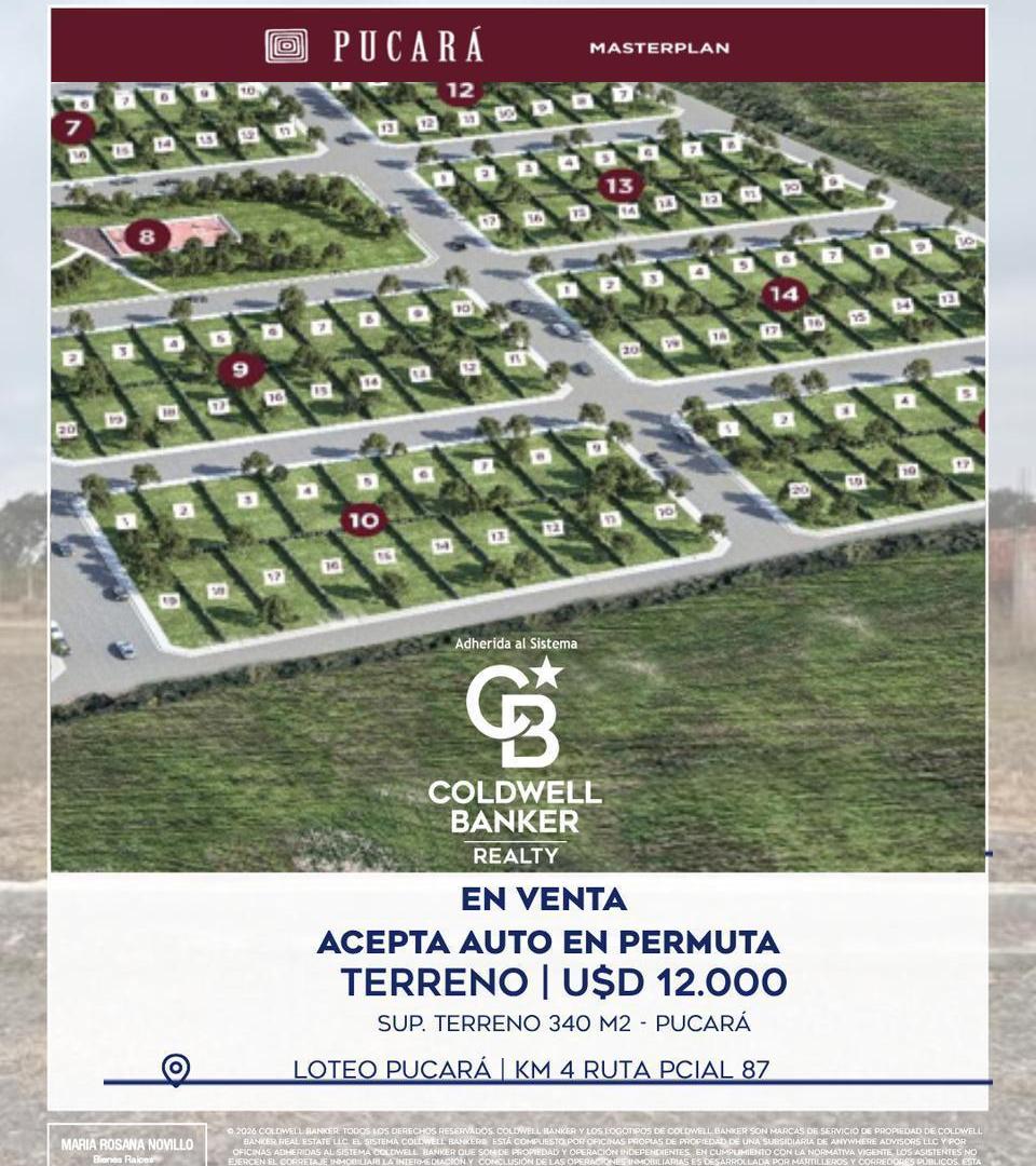 Foto de Terreno Loteo Pucara, imagen 4