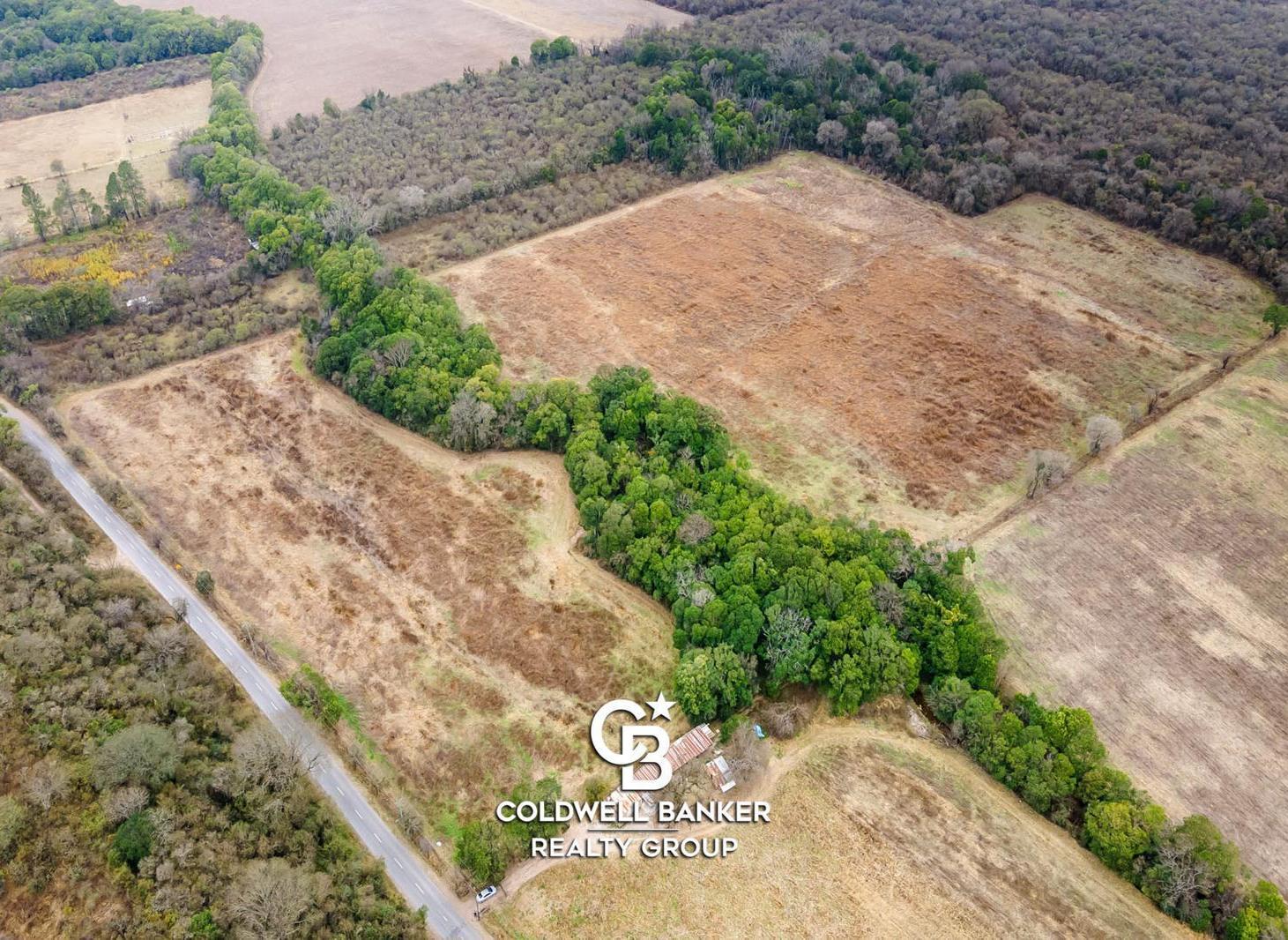 Foto de Hectárea en venta La Calderilla sobre ruta 9, imagen 1