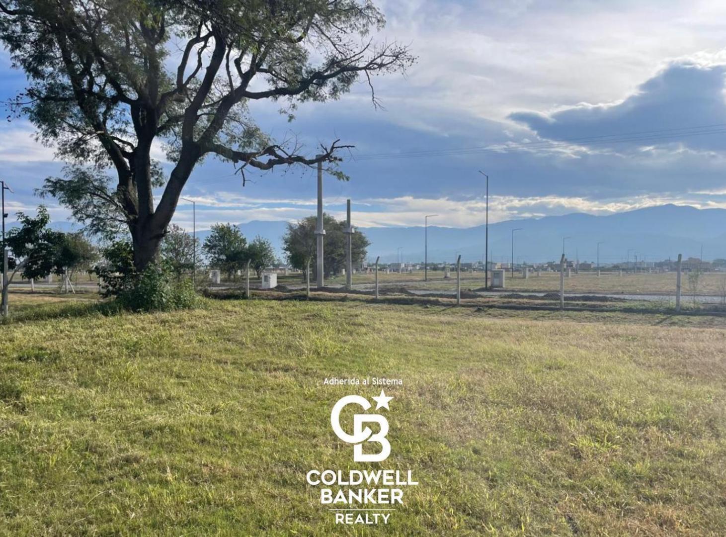 Foto de Terreno en Zona Sur, imagen 3