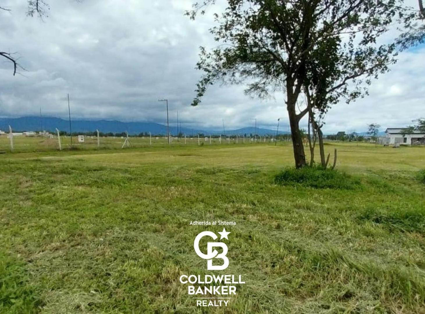 Foto de Terreno en Zona Sur, imagen 5
