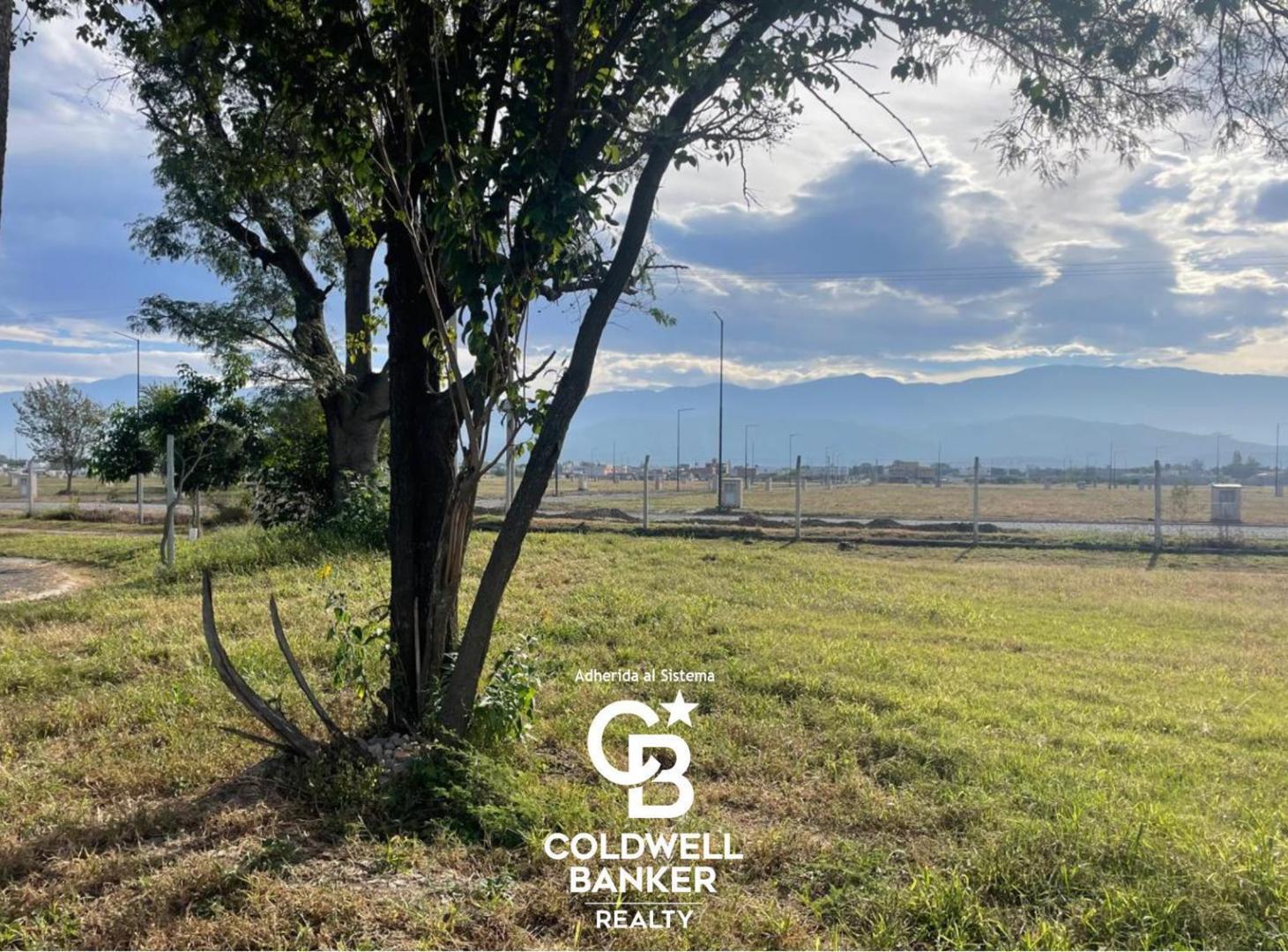 Foto de Terreno en Zona Sur, imagen 4