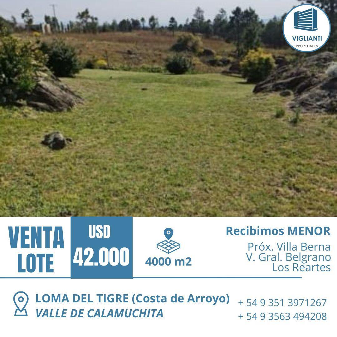 Foto de VENTA LOTE 31 (en la costa del arroyo) LOMA DEL TIGRE- Valle de, imagen 3