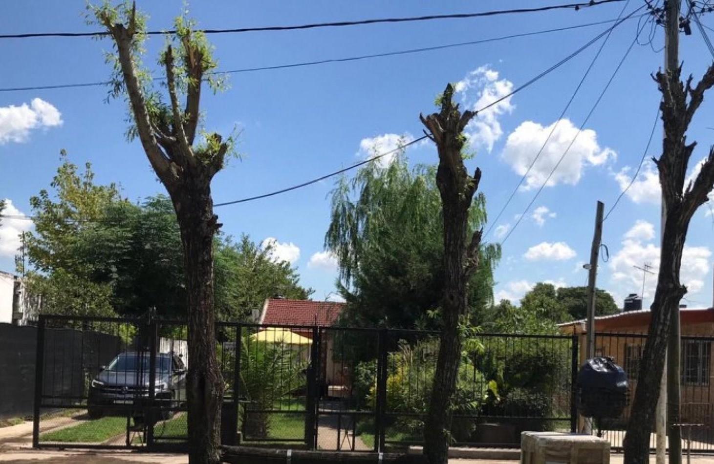 Foto de DEPARTAMENTOS EN GONZALEZ CATAN, imagen 4