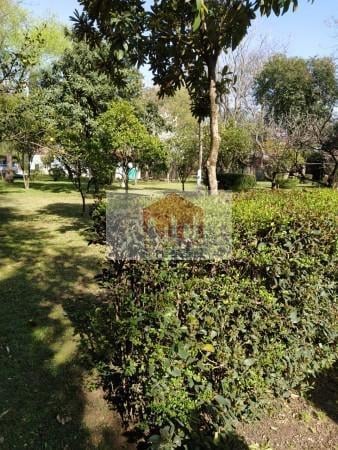 Foto de LOTE EN GONZALEZ CATAN, imagen 4