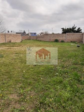 Foto de 3 Importantes lotes en Ruta 3 km 46, Virrey del Pino, imagen 3