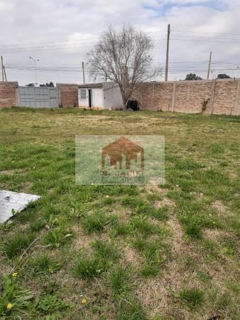 Foto de 3 Importantes lotes en Ruta 3 km 46, Virrey del Pino, imagen 1