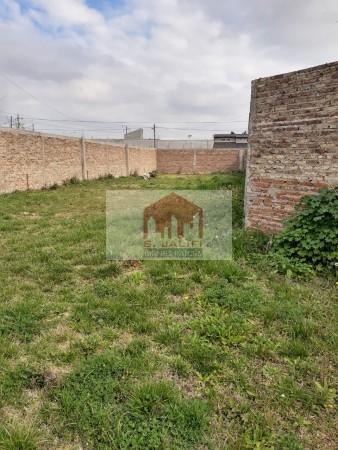 Foto de 3 Importantes lotes en Ruta 3 km 46, Virrey del Pino, imagen 2