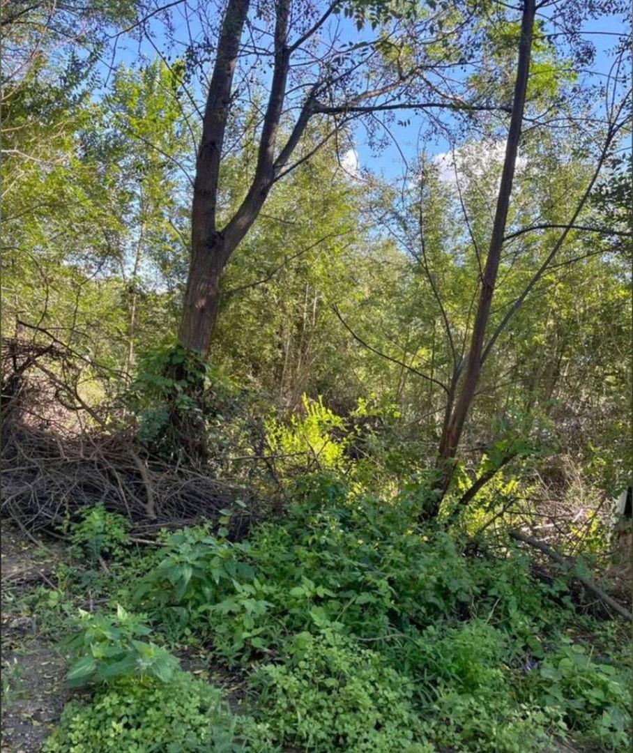 Foto de TERRENO / Corral de Barranca - UNQUILLO, imagen 3