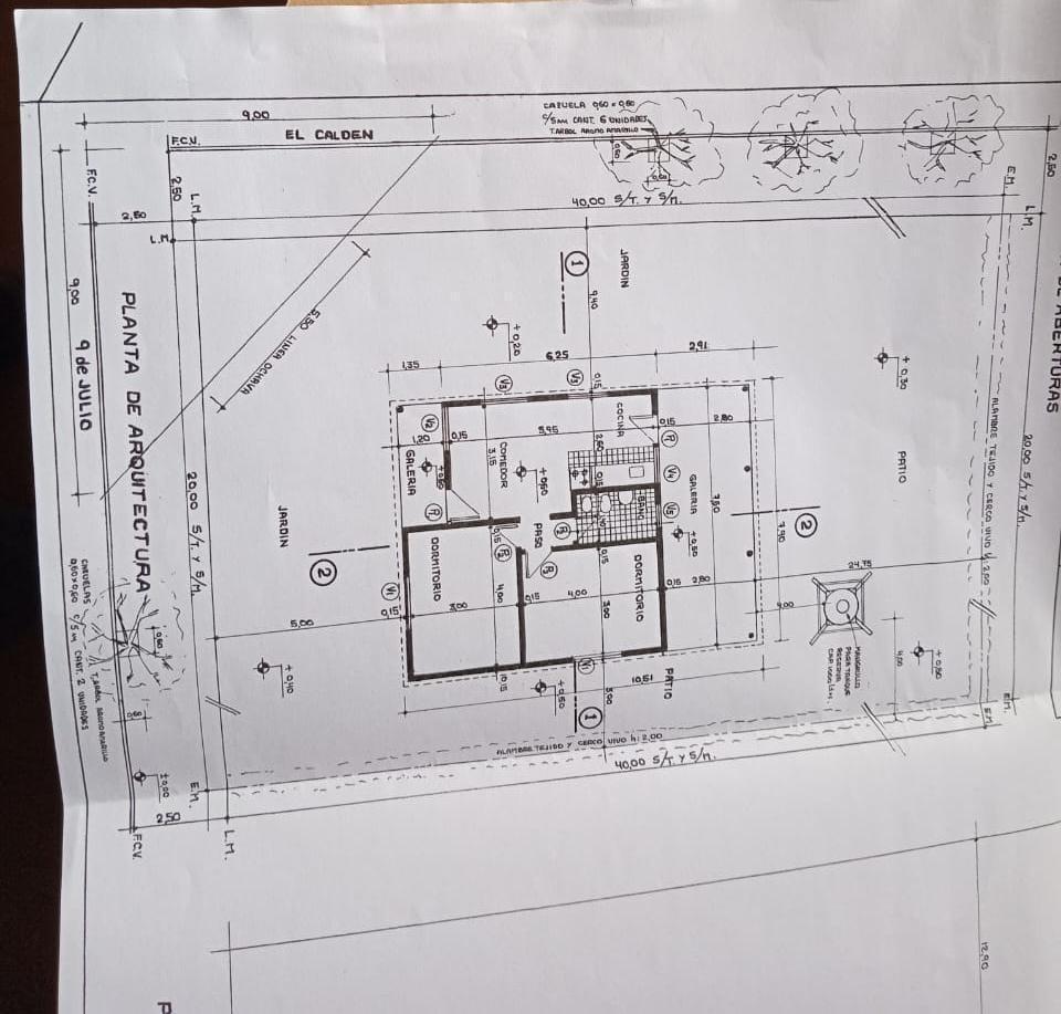 Plano 1