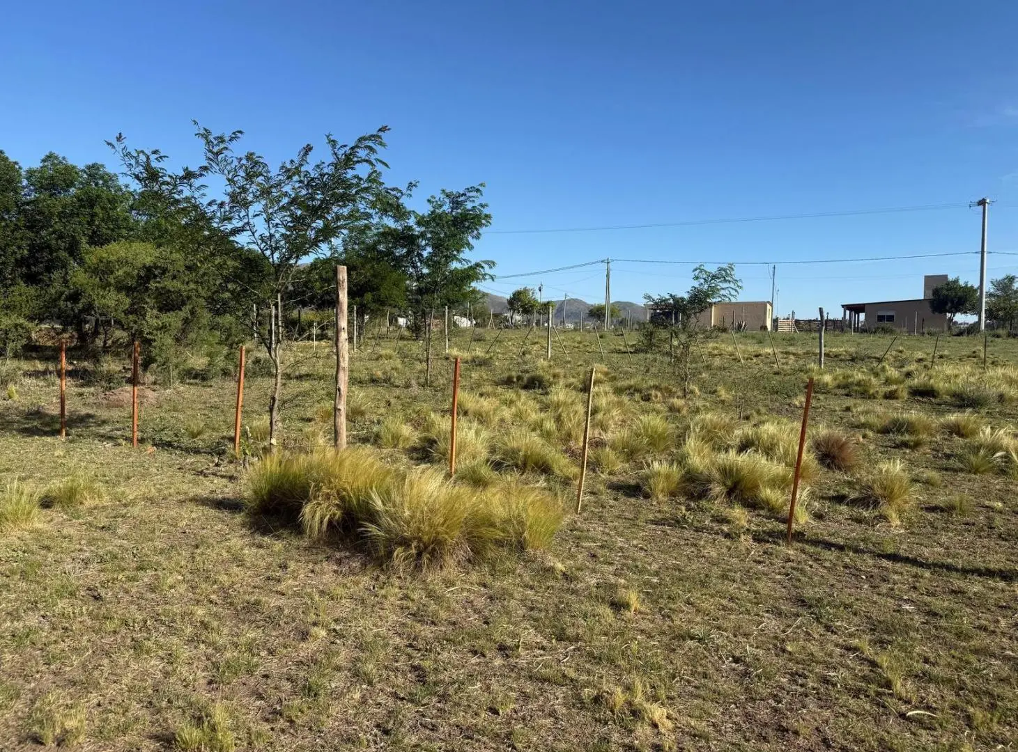 Terreno EN VENTA EN VILLA GIARDINO 4