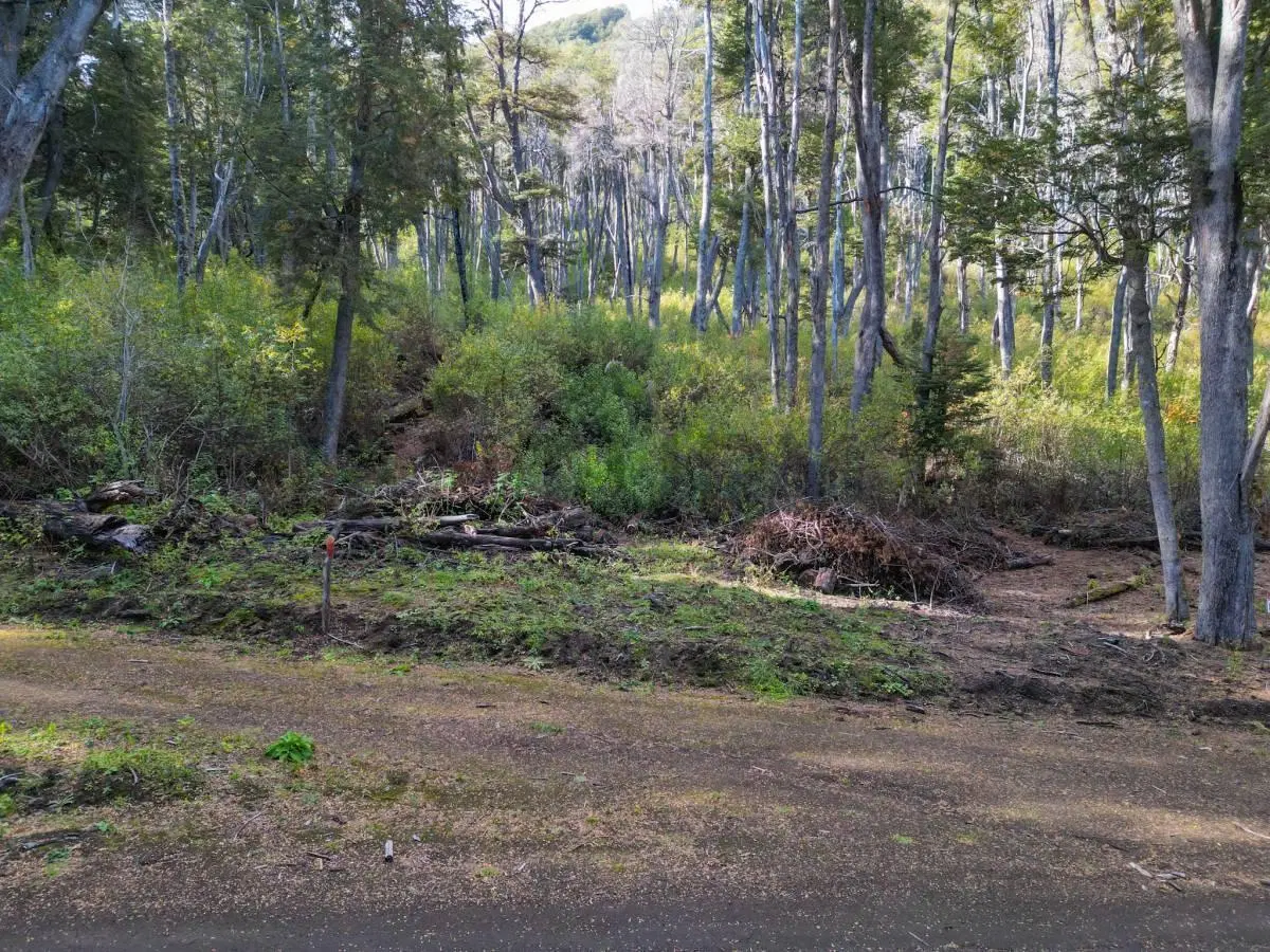 Venta lote Villa La Angostura 4
