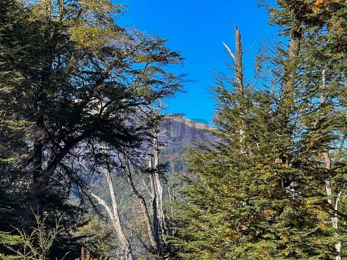 Venta casa Villa La Angostura 5
