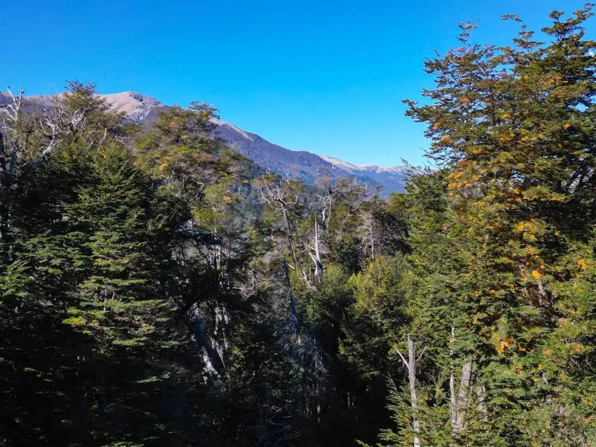 Venta casa Villa La Angostura 5