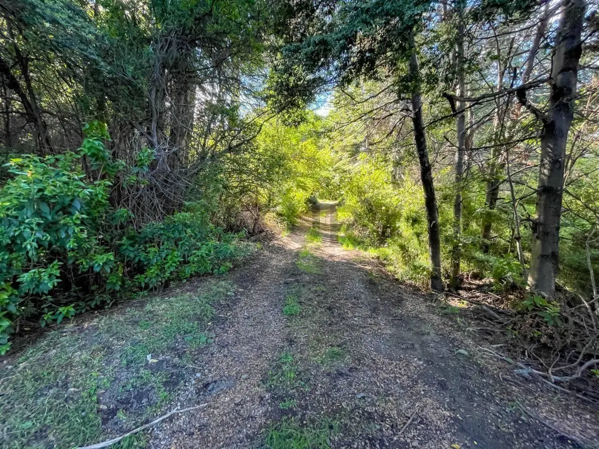 Venta lote Villa La Angostura 4