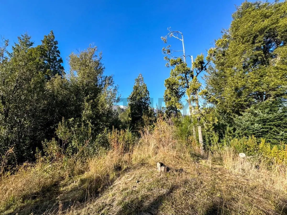 Venta lote Villa La Angostura 3