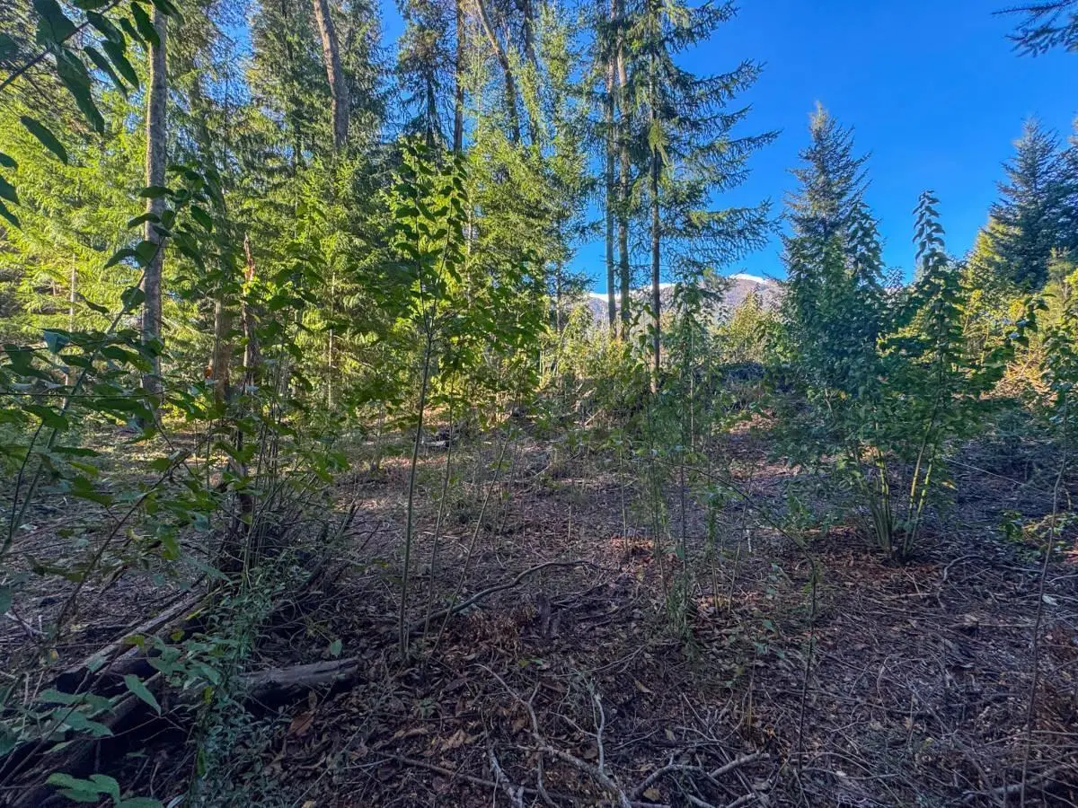 Venta lote Villa La Angostura 8