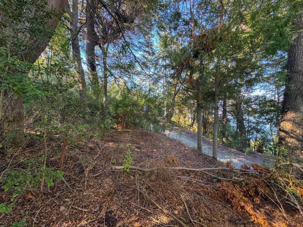 Foto de Venta lote Villa La Angostura con Vista al Lago, imagen 5