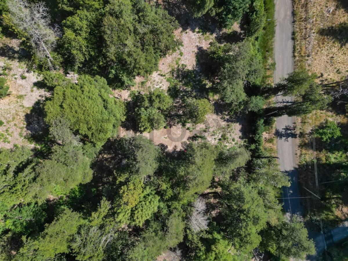Foto de Venta lote Villa La Angostura, imagen 5