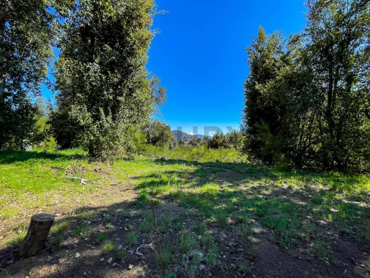 Foto de Venta Lote Villa La Angostura, imagen 2