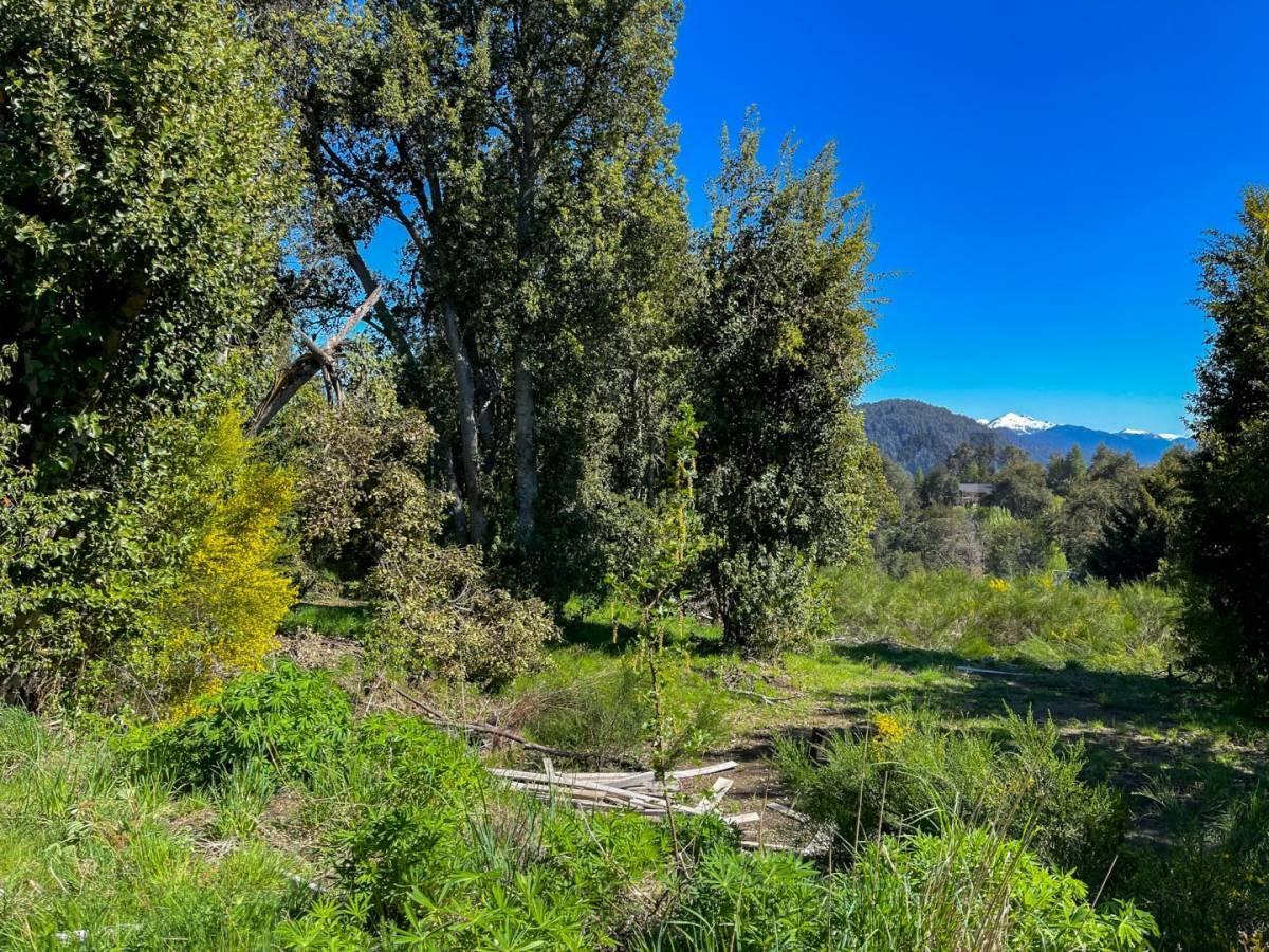 Foto de Venta Lote Villa La Angostura, imagen 5