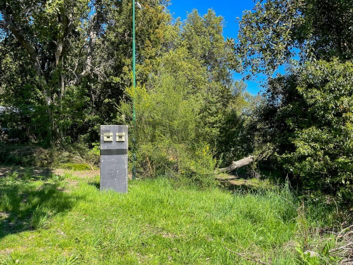 Foto de Venta Lote Villa La Angostura, imagen 4
