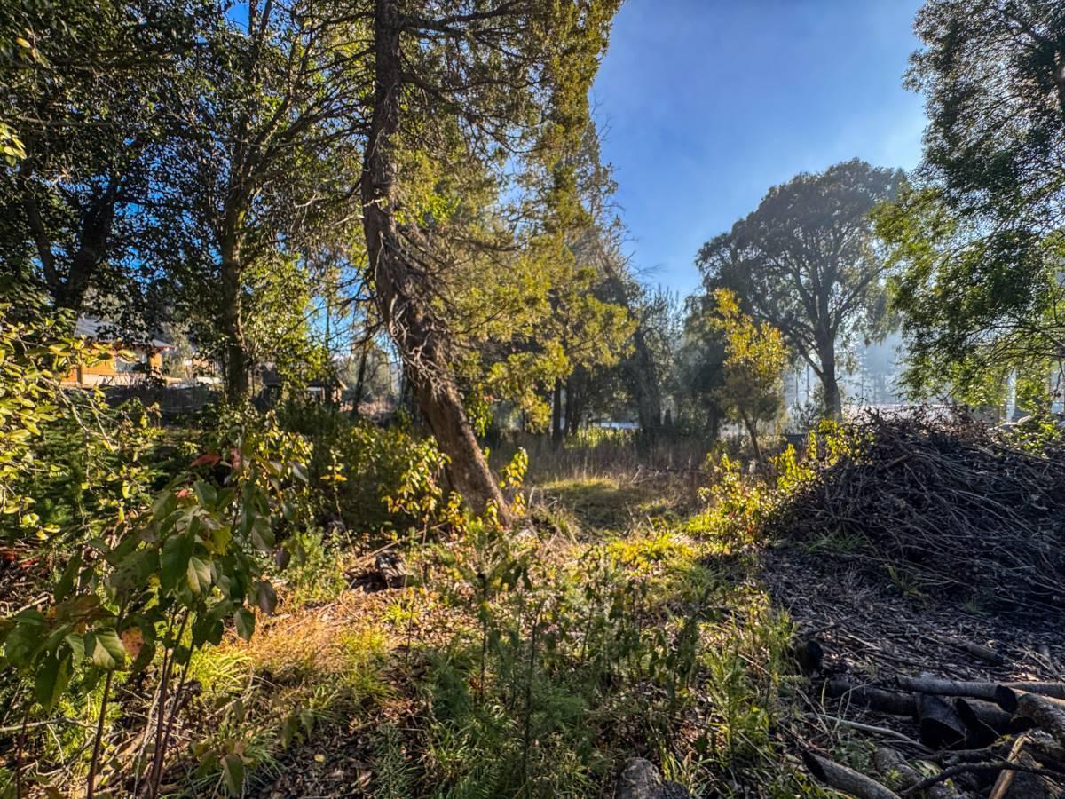 Foto de Venta lote Villa La Angostura, imagen 4