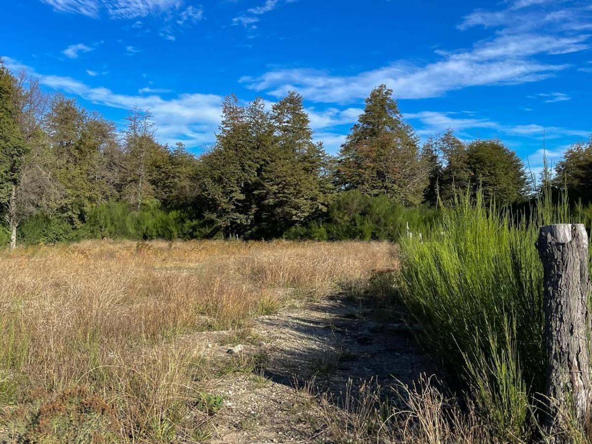 Foto de Venta lote Villa La Angostura, imagen 2