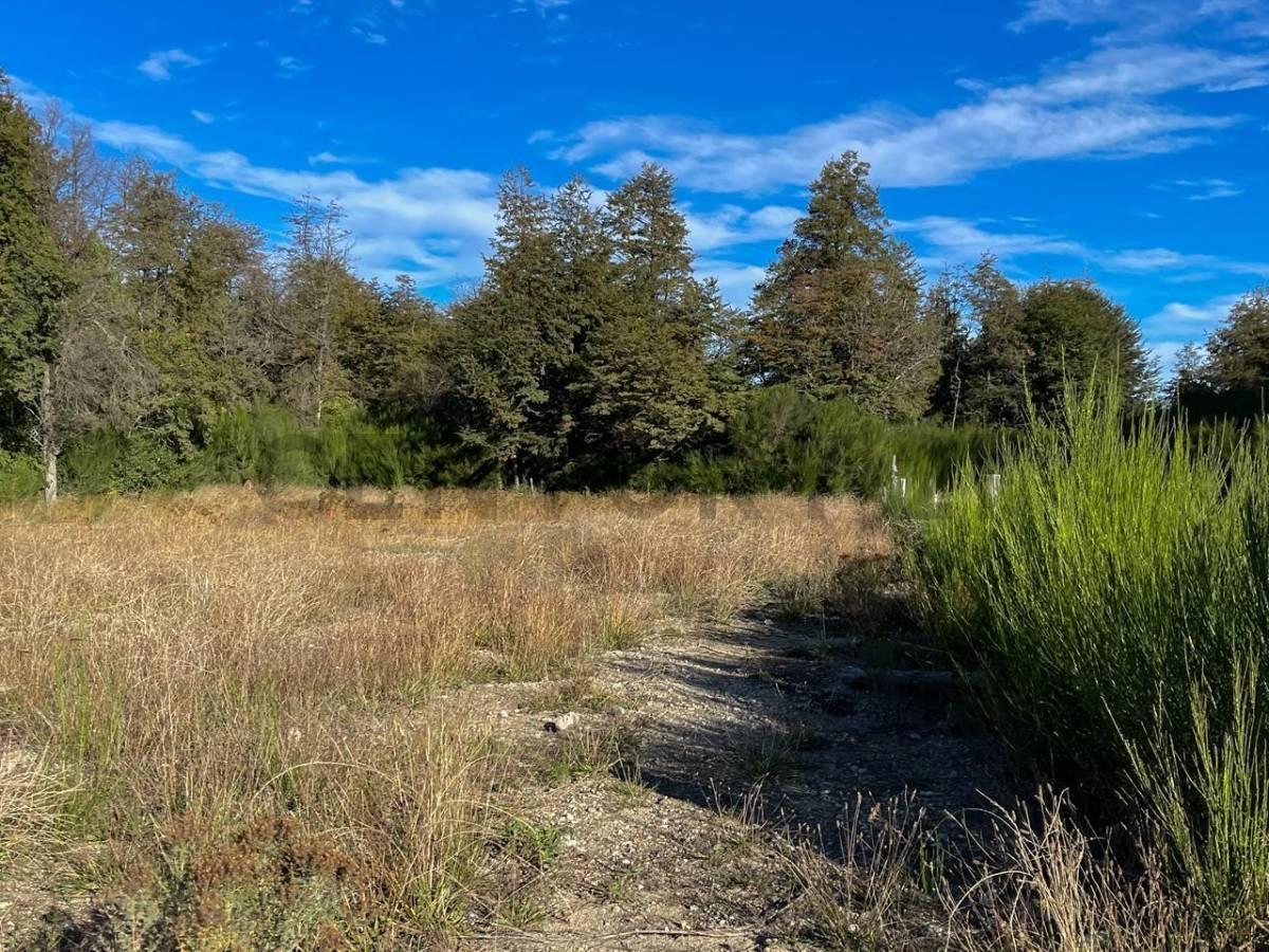 Foto de Venta lote Villa La Angostura, imagen 4