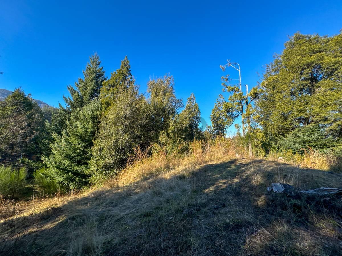Foto de Venta lote Villa La Angostura, imagen 4