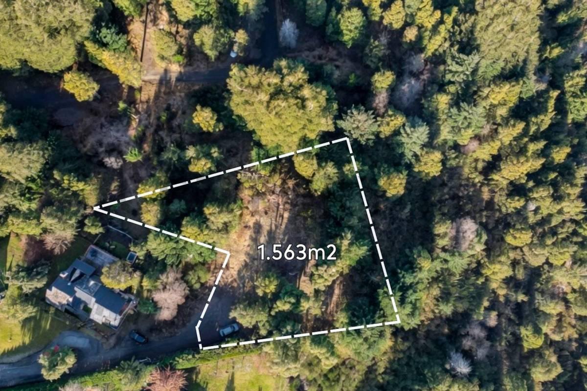 Foto de Venta lote Villa La Angostura, imagen 1