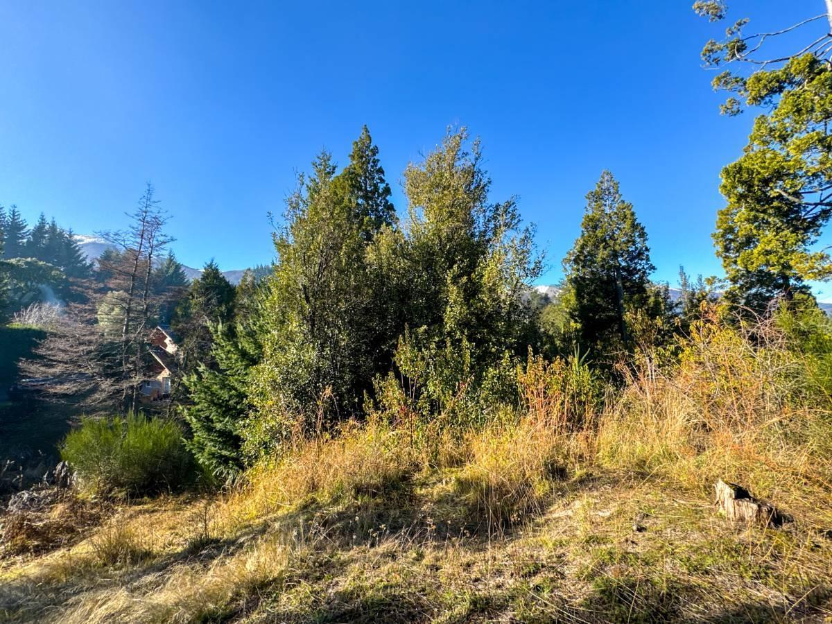Foto de Venta lote Villa La Angostura, imagen 2