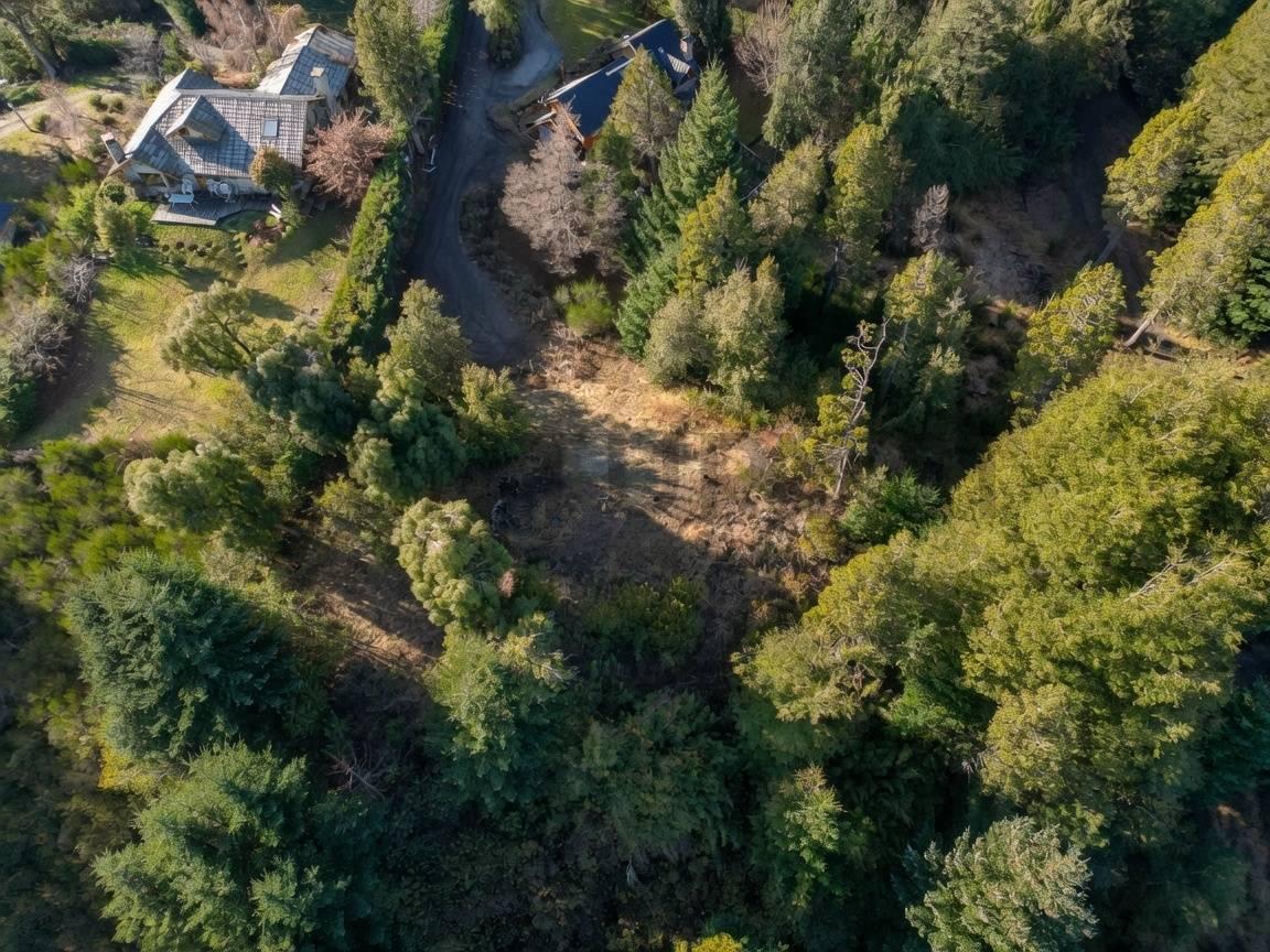 Foto de Venta lote Villa La Angostura, imagen 5
