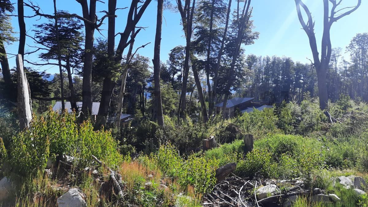 Foto de Venta lote Villa La Angostura, imagen 4