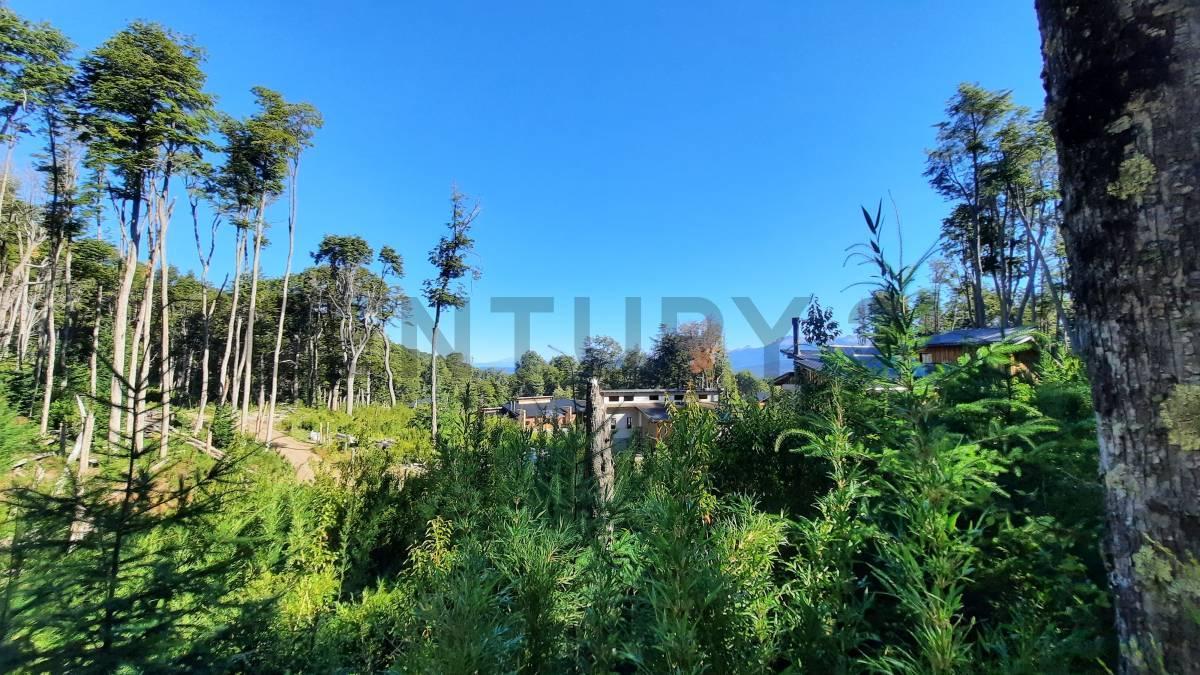 Foto de Venta lote Villa La Angostura, imagen 1