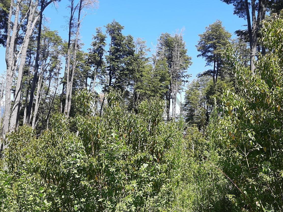 Foto de Venta lote Villa La Angostura., imagen 4