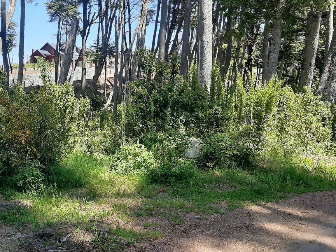 Foto de Venta lote Villa La Angostura., imagen 3