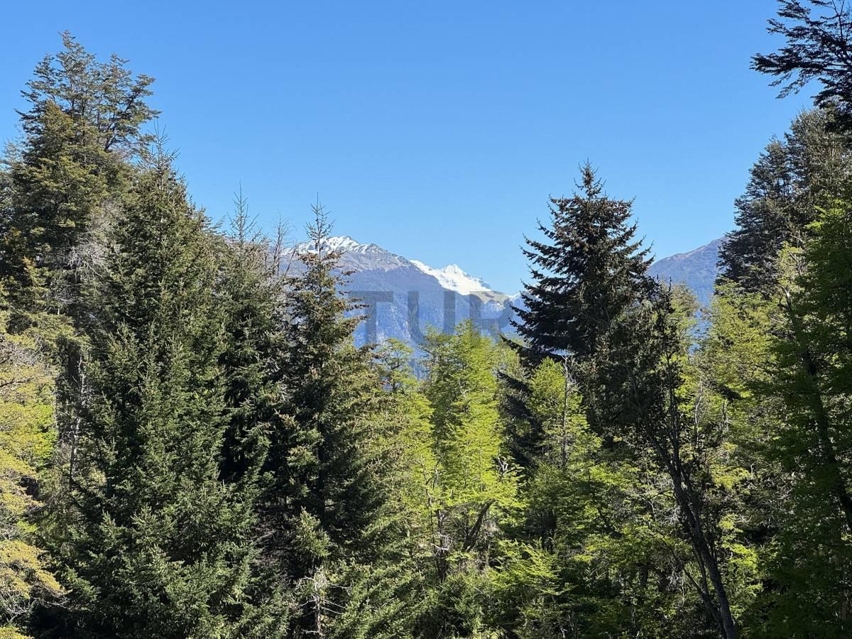 Foto de Venta lote Villa La Angostura, imagen 1