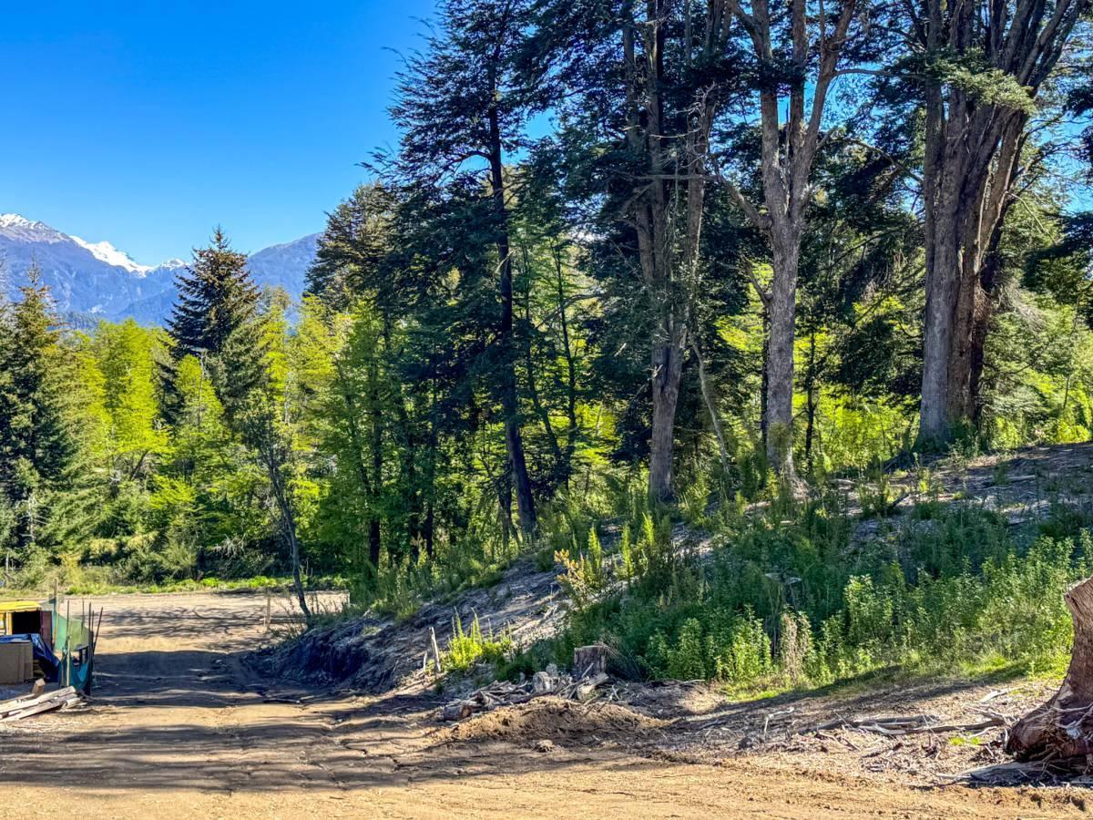 Foto de Venta lote Villa La Angostura, imagen 4