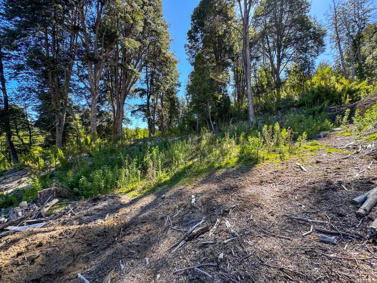 Foto de Venta lote Villa La Angostura, imagen 3