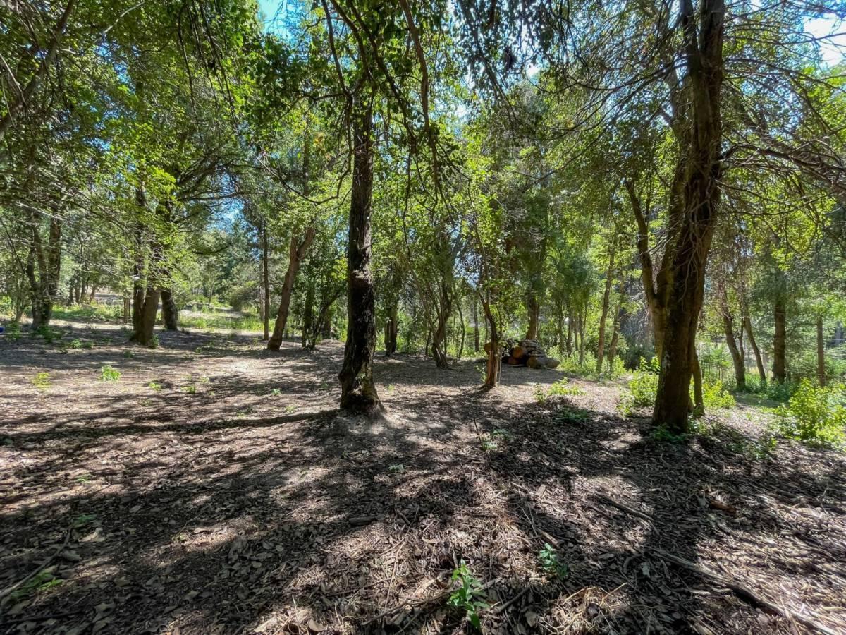 Foto de Venta lote Villa La Angostura, imagen 1